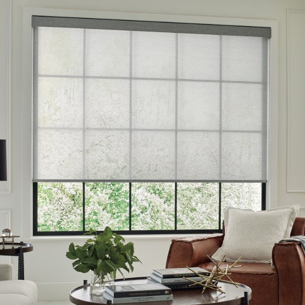 Motorized shades in living room