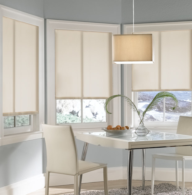 Roller shades in San Antonio