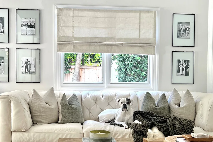 Pairing Roman shades with a thermal liner will help improve your home's energy efficiency. Roman shade covering a window in a white living room with a dog resting on a sofa